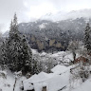 Meet your Posher, Rachael